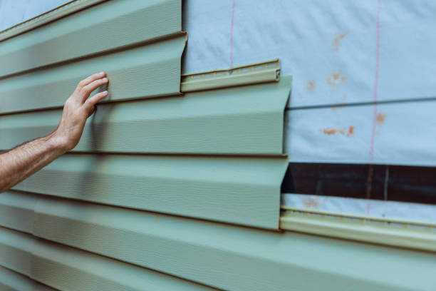 Best Custom Siding Design  in Shelbyville, TN